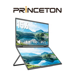 PRINCETONbvXg USB-Cڑ 2ʃoCj^[ PTF-M156DS [15.6^ /tHD(1920×1080) /Ch /60Hz]