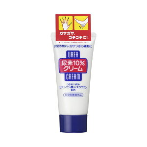 t@CgDfCbFine Today Af10%N[(`[u)f 60g[w򕔊Oi]