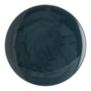 ���[�[���^�[���bRosenthal �g�[�}�X���t�g�J���[�@�O�����v���[�g28�@401916�|10229�@NB ��RLCZ103��