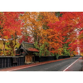 ビバリー｜BEVERLY 600-030 角館 秋色に染まる武家屋敷通り