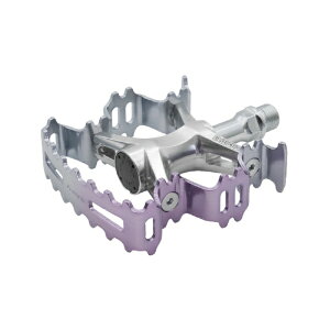 ~JV}bMIKASHIMA ]ԃy_ Aurora I[ p[v×Vo[