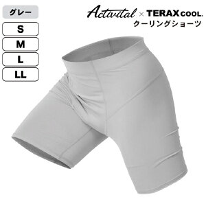 �A�N�e�B�o�C�^���bActivital �j�����p TERAXCOOL �e���b�N�X�N�[�� �M���˗⊴�N�[�����O�V���[�c �O���[ TKL1007GR15 [���j�Z�b�N�X /LL�T�C�Y]