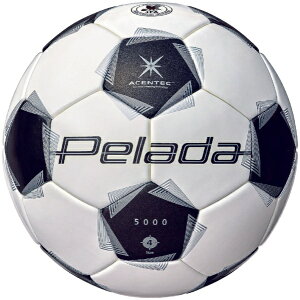 ebmolten TbJ[{[ y[_5000 LbY4 Xm[zCgp[×^bNubN F4K5000