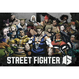 ビバリー｜BEVERLY 1000-116 ストリートファイター6 （2）