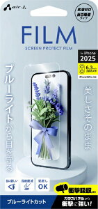 GA[WFCbair-J iPhone 17tB tیtB u[CgJbgi17.17 Pro.16 Propj NA VFP25BL