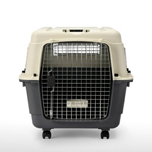 yGg[ōő2|Cgb11/18z ybgCu[bPET LIBRARY inuneru@N[g@L90