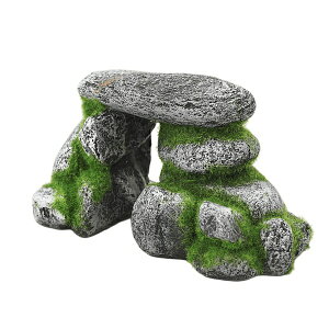 ybgCu[bPET LIBRARY aquaneru@ANAEI[ig@Xg[A[`S