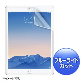 サンワサプライ｜SANWA SUPPLY iPad Air 2用　ブルーライトカット液晶保護指紋反射防止フィルム　LCD-IPAD6BCAR[LCDIPAD6BCAR]