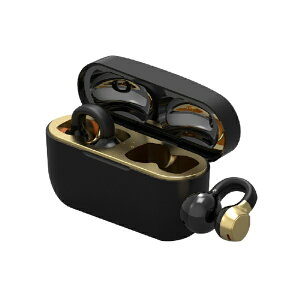 CHEEROb`[ SCXCz S[h CHE-645-GO [CX(E) /BluetoothΉ]