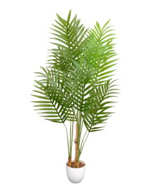 ファミリー・ライフ｜Family-life 光触媒 インテリアグリーン アレカヤシ