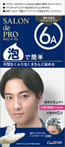 _bDARIYA SALON de PROiThvjÃwAJ[EX@YXs[fBipj6Ai[݂̂AbVuEj@140g+240g