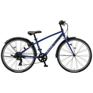 uaXgbBRIDGESTONE 26^ qp] VC (O7iϑj F.XOb^[u[ SHL65yLZEԕisz yzsz