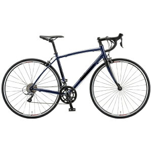uaXgbBRIDGESTONE 700×28C^ [hoCNRL3 DROP CLARISf I[VlCr[ L3DC44 [24iϑi3×8j]yLZEԕisz yzsz