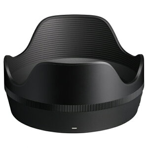 SIGMAbVO} Yt[h LH782-04