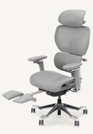 FlexiSpot｜フレキシ スポット オフィスチェア [W700xD715xH1080〜1415mm] C7 Morpher グレー C7G-Morpher-JA
