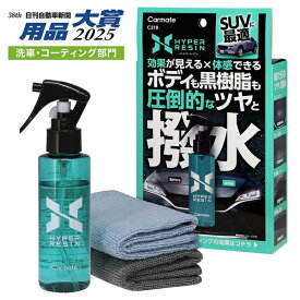 カーメイト｜CAR MATE C210 ハイパーレジン クロス付き 100