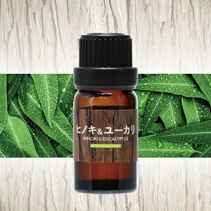 J[CgbCAR MATE L10082 F fBt[U[p IC Xт̍ qmL[J