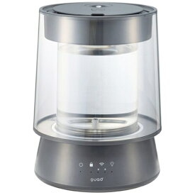 QUADS｜クワッズ ガラススチーム加湿器 QUADS グレー QS549-GY [スチーム式]