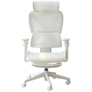 COFObRtH `FA [W690xD683xH1090`1285mm] Chair Pro 2 zCg CC-200W