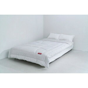 mizunob~Ym ebNtBuXT[|zcEX O[ C2JKCY1005 [VO(150×210cm)]