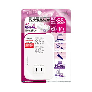 ~bKASHIMURA COp^2ψUSB A+C PD20W 110-130V/85VA 220-240V/41VA WT-80M