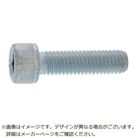 サンコーインダストリー｜SUNCO SUNCO 三価ブラック CAP（TKS 6×12（500本入）