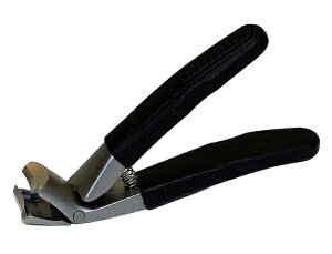 A[Y 炭炭pܐ؂ ₷t