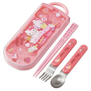 SkaterbXP[^[ LeB@H@ΉXChgIZbg TACC2