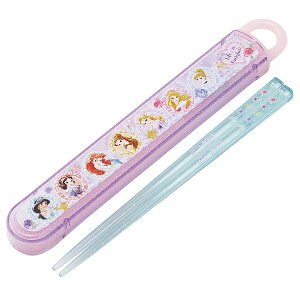 SkaterbXP[^[ vZX26@XChZbg16D5cm ABS2AM