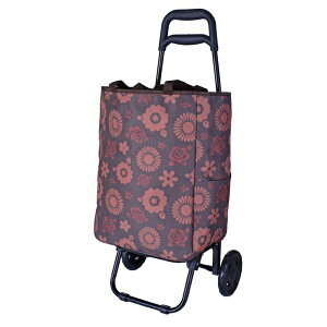 y2025N11z SWANbX SAXON cue 2way VbsOL[obO ۗ&ۉ /  / OOK uE/ԕ SWAN-5246BRFLW