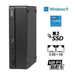 y2025N1030z MSIbGGXAC fXNgbvp\R PRO-DP80-A14G-065JP [Windows11 Pro /intel Core i5 /F16GB /SSDF512GB]