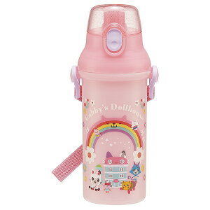 SkaterbXP[^[ Mr[nEX26@v^b`{g480ml PSB5SAN