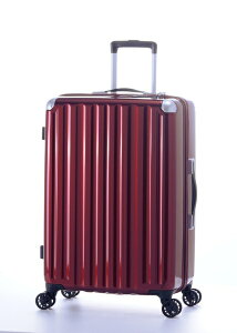 AWAEQ[Wij X[cP[X@Wbp[^Cv@hڈF4`6ԁ@66L@|J[{lCg100@TSAbNځ@_uzC[LX^[ Cbh ALI-6008-24