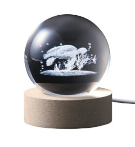 CVObISHIGURO 3DNX^{[ LEDCg E~K 18043 [LED /dF]