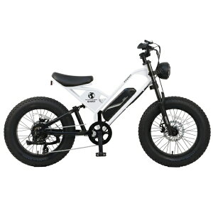 y2025N11z CYCOObTCN[ dAVXg] CYCOO-GHOST TCN[S[Xg J[Fp[zCg TDN-237L-P [20C` /7iϑ]yLZEԕisz yzsz