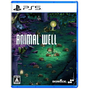 y2025N1218z SUPERDELUXE GAMESbX[p[fbNXQ[X ANIMAL WELLyPS5z yzsz