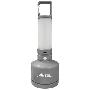 �����d��bASAHI ELECTRIC ELPA �[�d�������^�����C�g M �O���[ 350lm