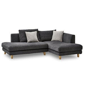 ։Ƌ JE`\t@@CY@{̃_[NO[@p^i`F؋r _[NO[ 323497