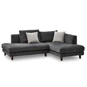 ։Ƌ JE`\t@@CY@{̃_[NO[@p^uEF؋r _[NO[ 295945