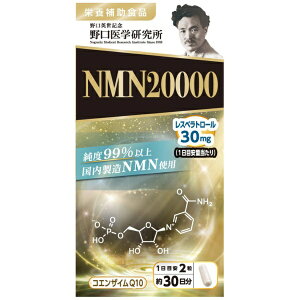 �����w�������bNOGUCHI NMN20000�@60��