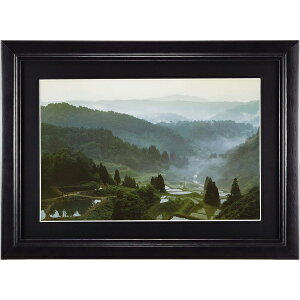 FUJICOLOR�b�t�W�J���[ �ؐ��z�� YM-1 �i���C�h6�؁j[YM1]