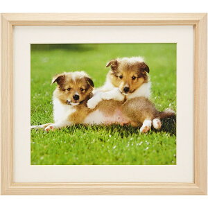 FUJICOLOR�b�t�W�J���[ �ؐ��z�� M12 �i4�؁j�@�A�N����