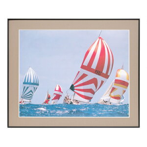 FUJICOLORbtWJ[ tHgt[ A105A iS^Vo[j