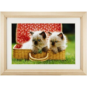 FUJICOLORbtWJ[ ؐz M12 iCh6؁j@AN