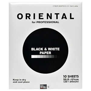 yGg[ōőSz|CgҌb10/5z IG^bORIENTAL j[V[K VC-FBIII Advanceij20×24iS / 50.8×61cmE10j[NSGVCFB3ADV20X2410]