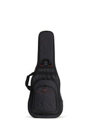 ACCESSBAGS&CASES バッグS2 EG DUAL AB2DBEG1