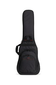 ACCESSBAGS&CASES バッグS2 EB DUAL AB2DBEB1