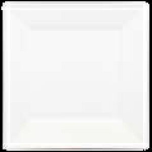 �]���������bEBM �`�F�b�N�X�N�G�A�v���[�g�@21cm�@NS�|21�|W�@��
