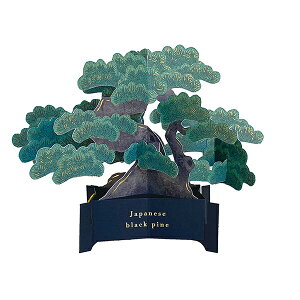 �O���[�e�B���O���C�t�bGreeting Life BONSAI�E�|�b�v�A�b�v�J�[�h ���ړI ����