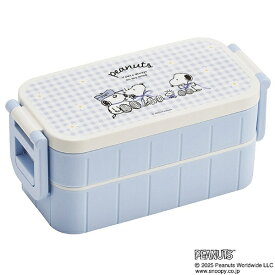 Skater｜スケーター タイトランチボックス 2段 600ml SNOOPY／ブルーリボン YZW3